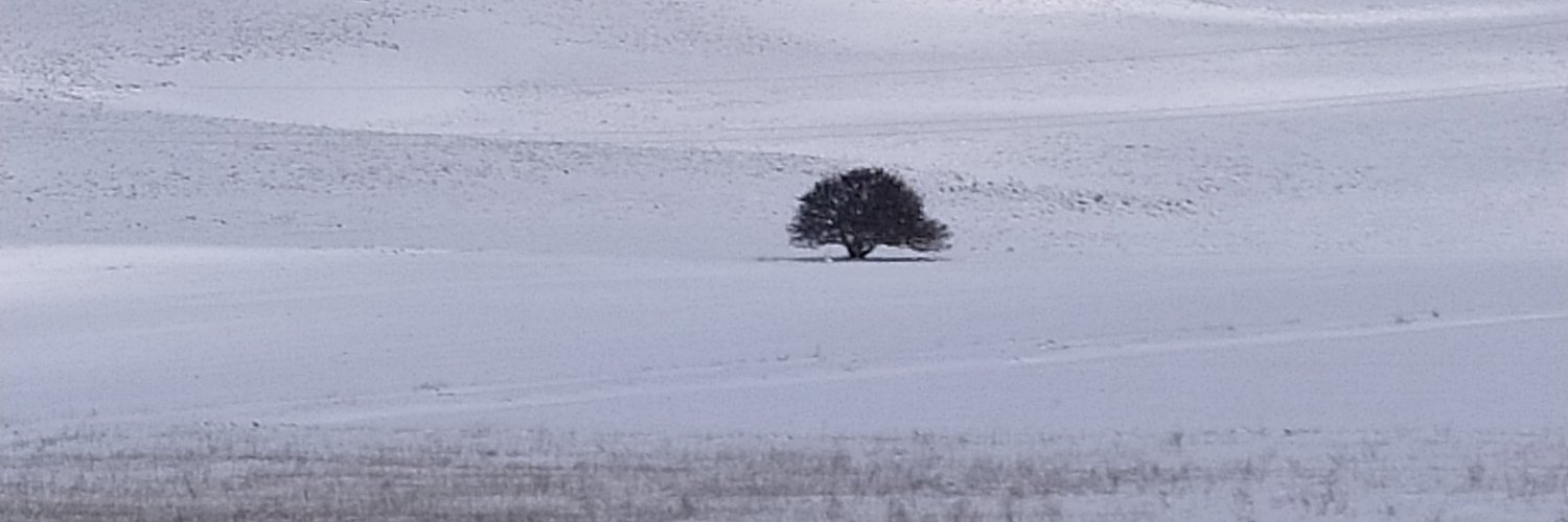 asimbalbay's profile banner image