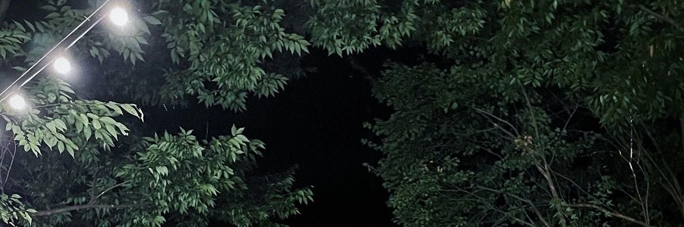 whyelly_'s profile banner image