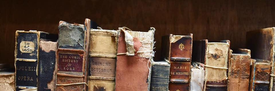 cmarielandis's profile banner image
