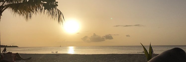 _Reicee's profile banner image