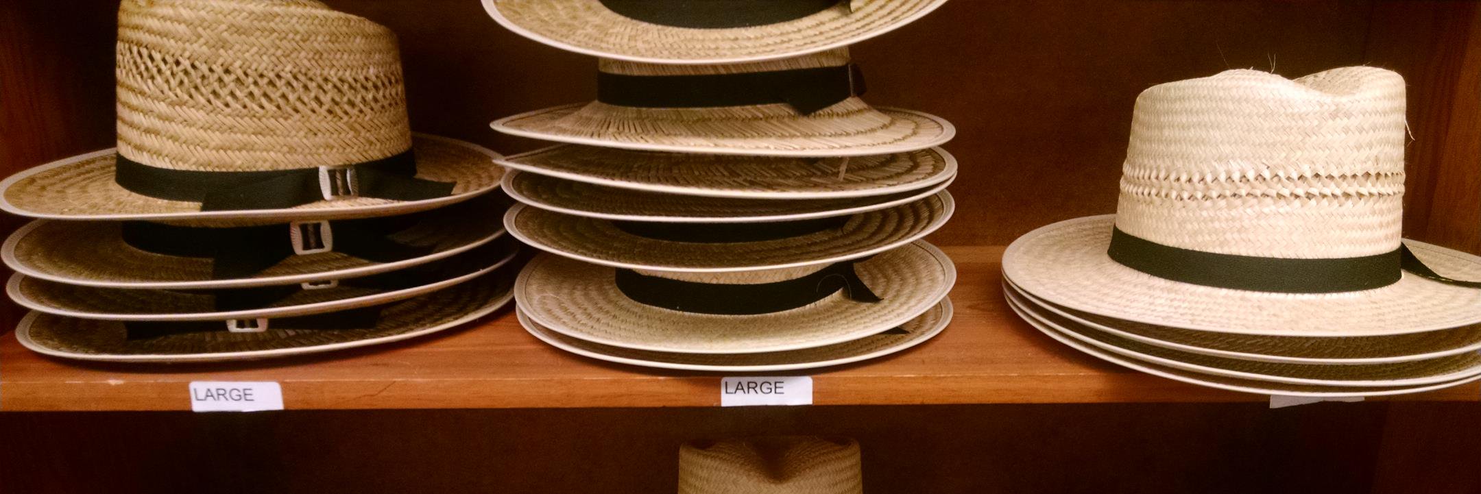 Wayne County CVB banner