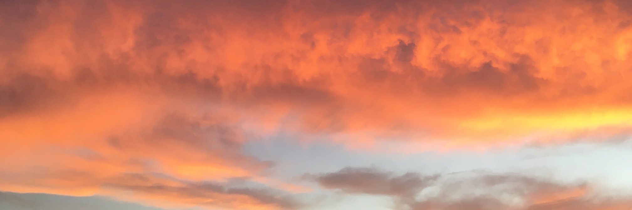 Tatjana Borovikov banner