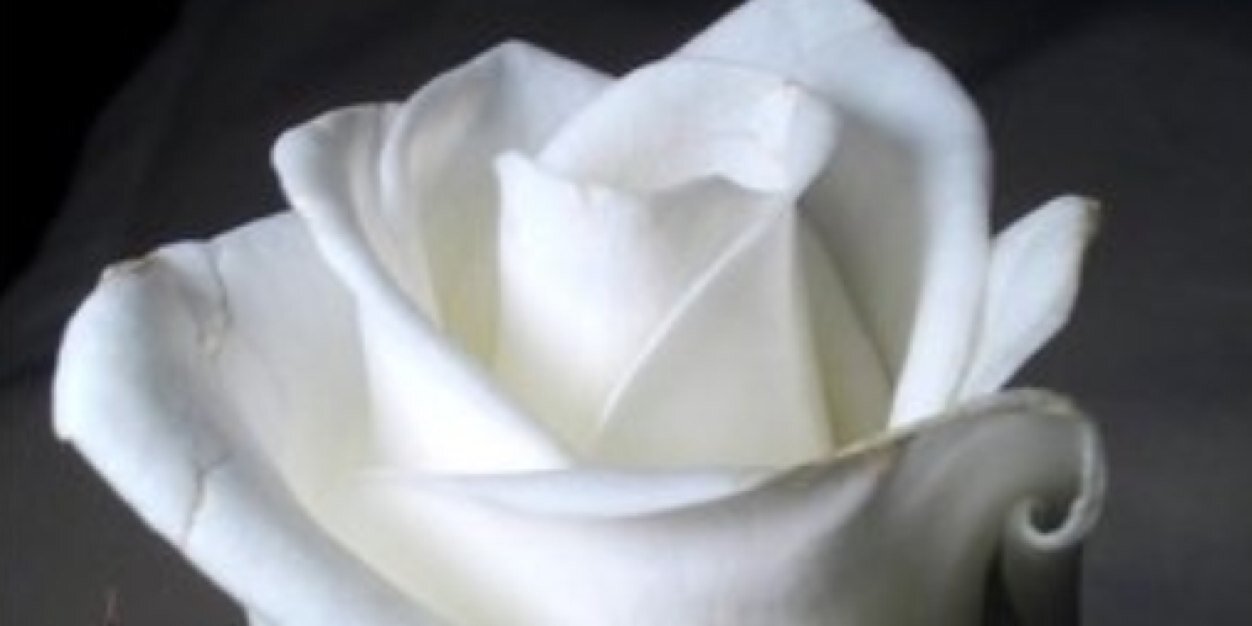 aina_auli's profile banner image