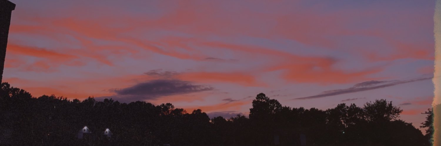 Delaney_Bussey's profile banner image