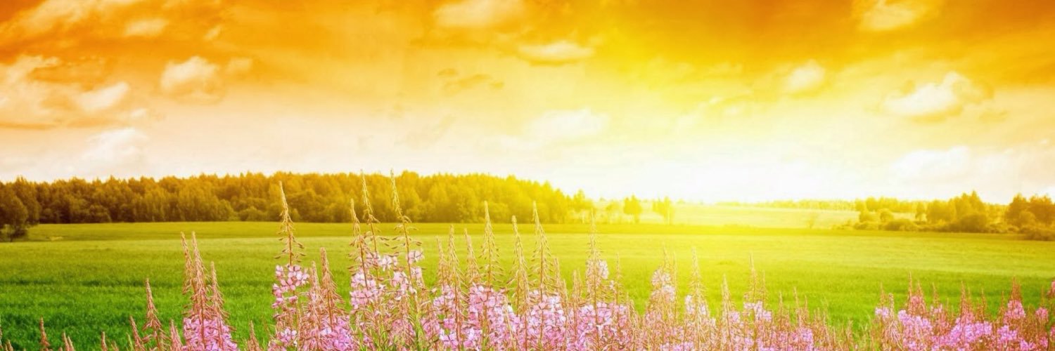 VaaNessa72's profile banner image