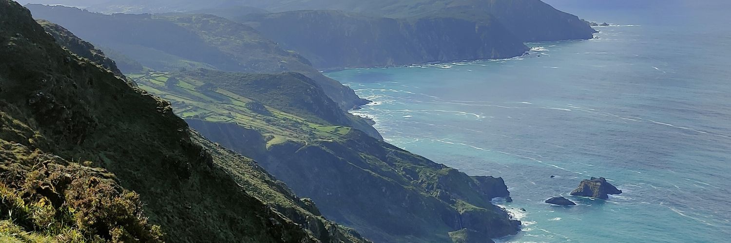 AlexChequebo's profile banner image