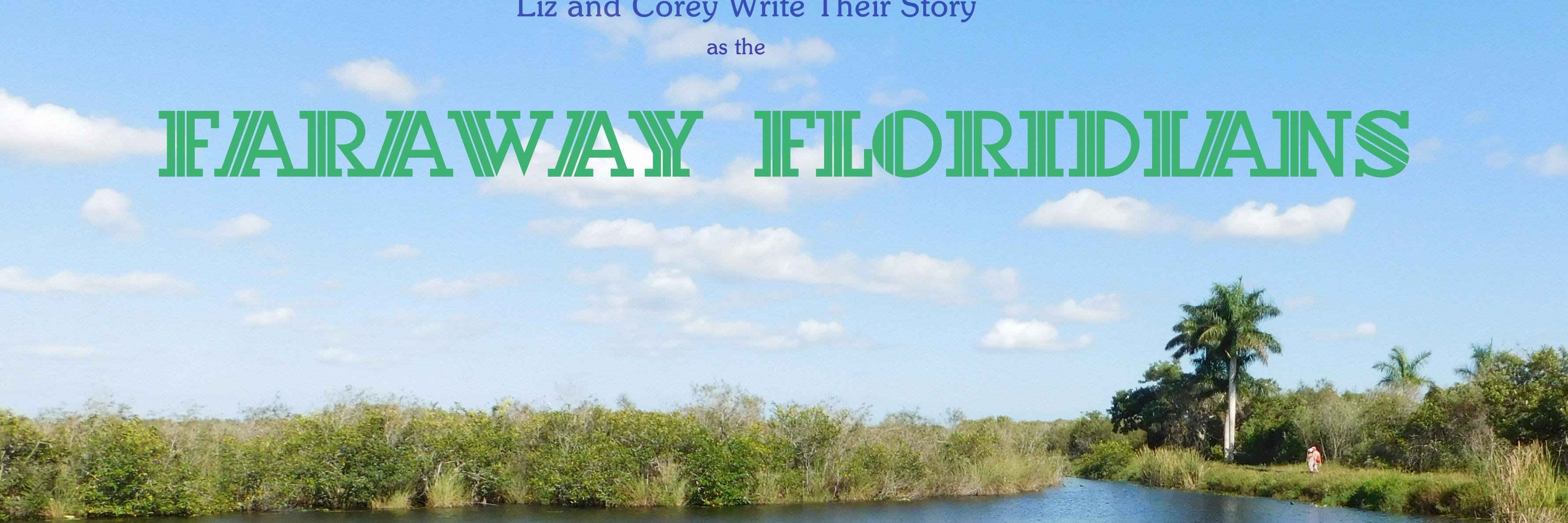 FarawayFlorida's profile banner image