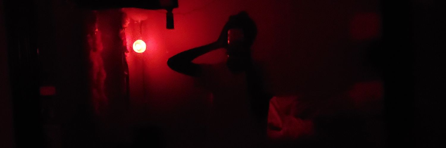 LeeSheilaa's profile banner image