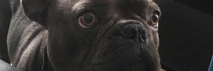 J87Moir's profile banner image
