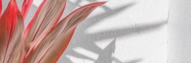 ansolerr's profile banner image