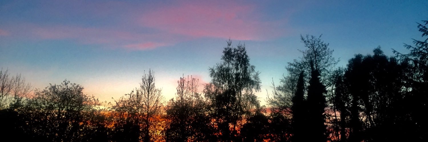 rosecantillon's profile banner image