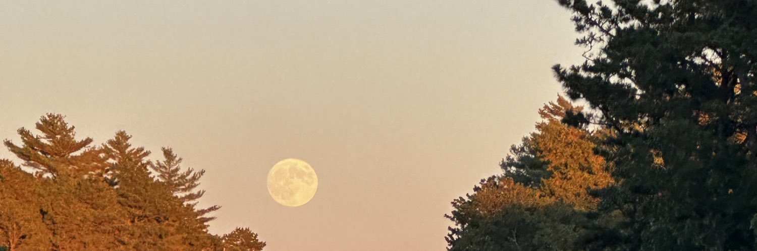 EmilyH0over's profile banner image