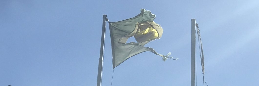 Dani, a Pequena Tirana banner