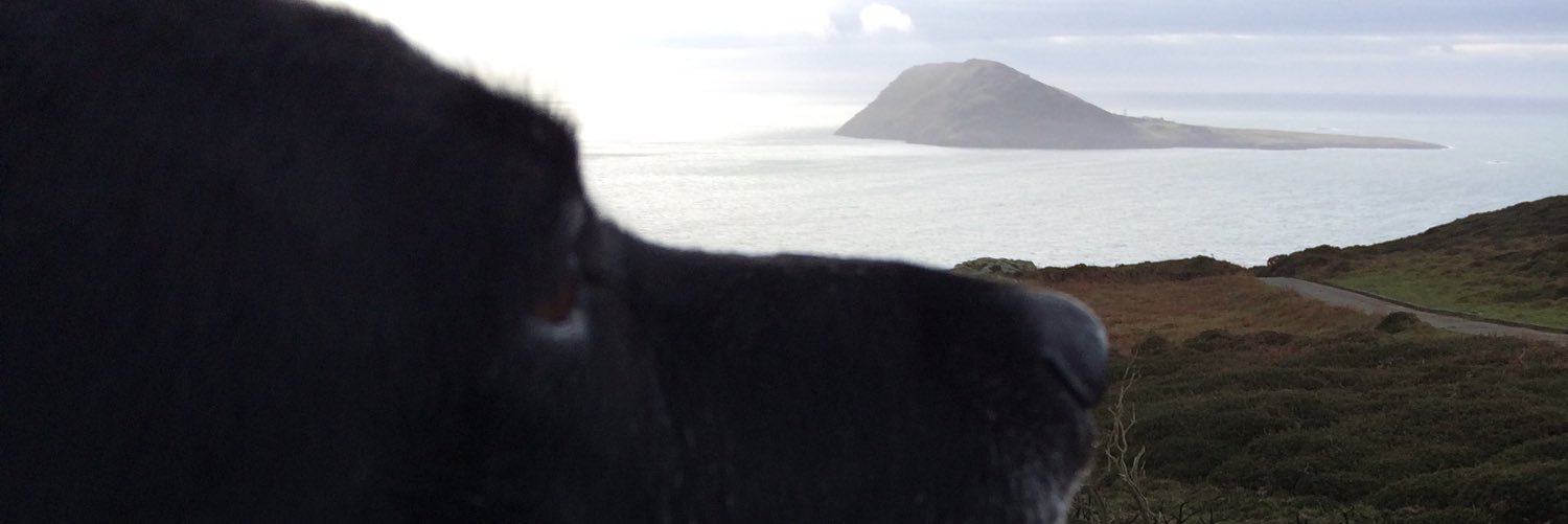 TrickyMary's profile banner image