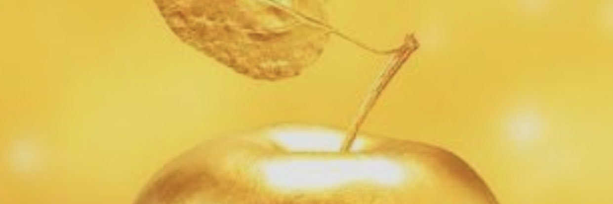 kimukku's profile banner image