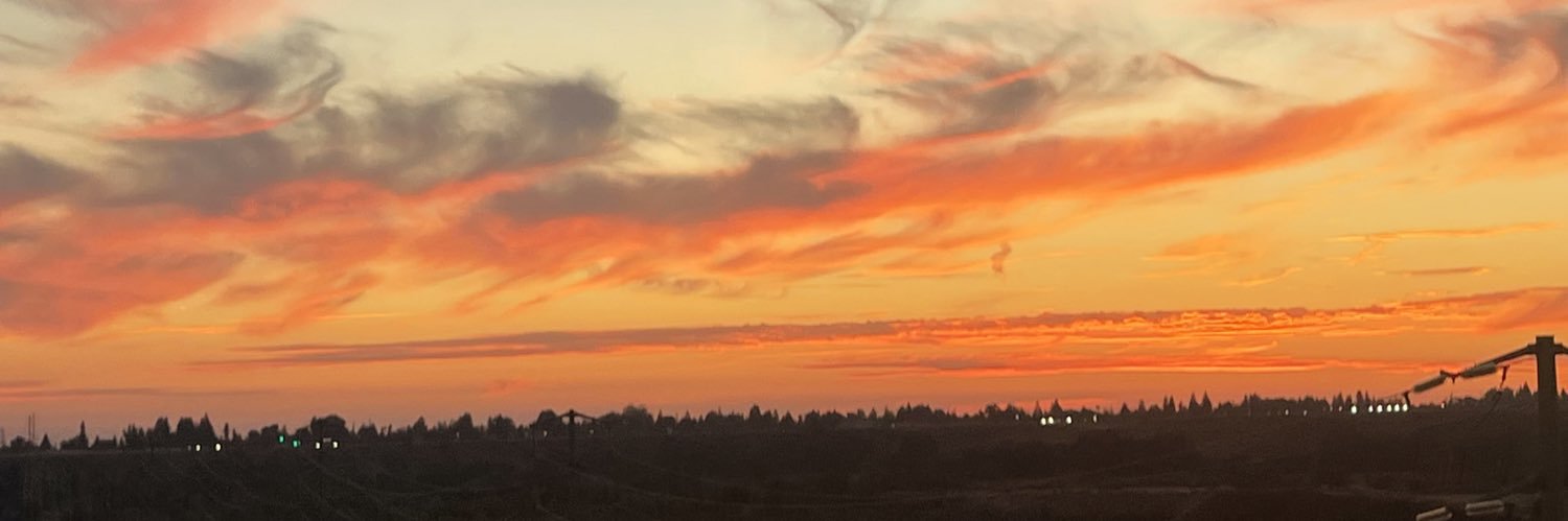 DianeeCarsonn's profile banner image