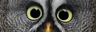 frishtenrows's profile banner image