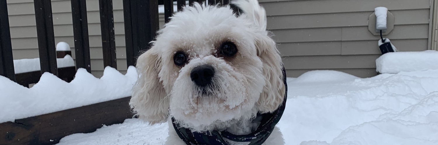 shanaggins_'s profile banner image