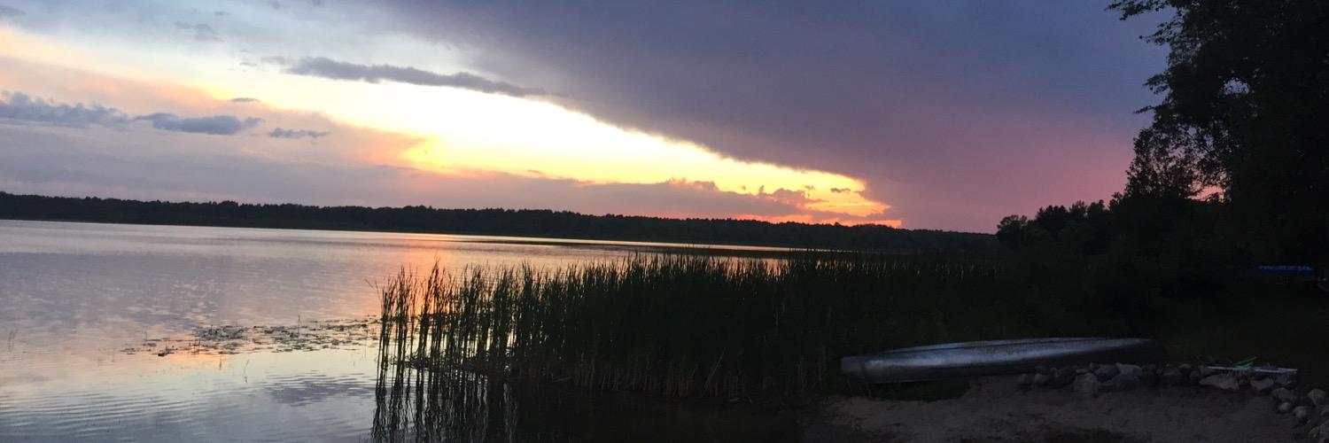 SweetPLipsey's profile banner image