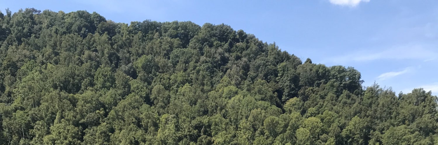 levicross44's profile banner image