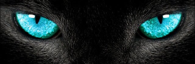 hennyIV's profile banner image