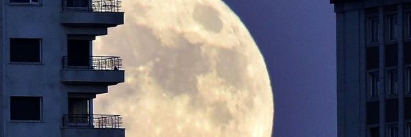 oscaleman2418's profile banner image