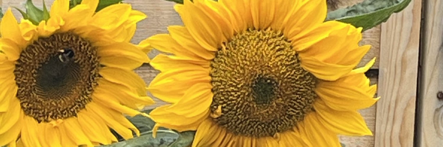 LOLLY1959's profile banner image