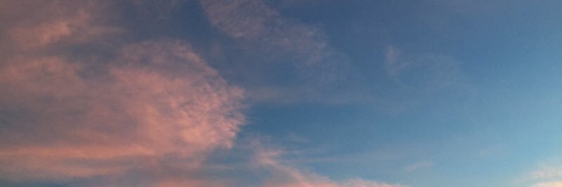 taylortgrace's profile banner image
