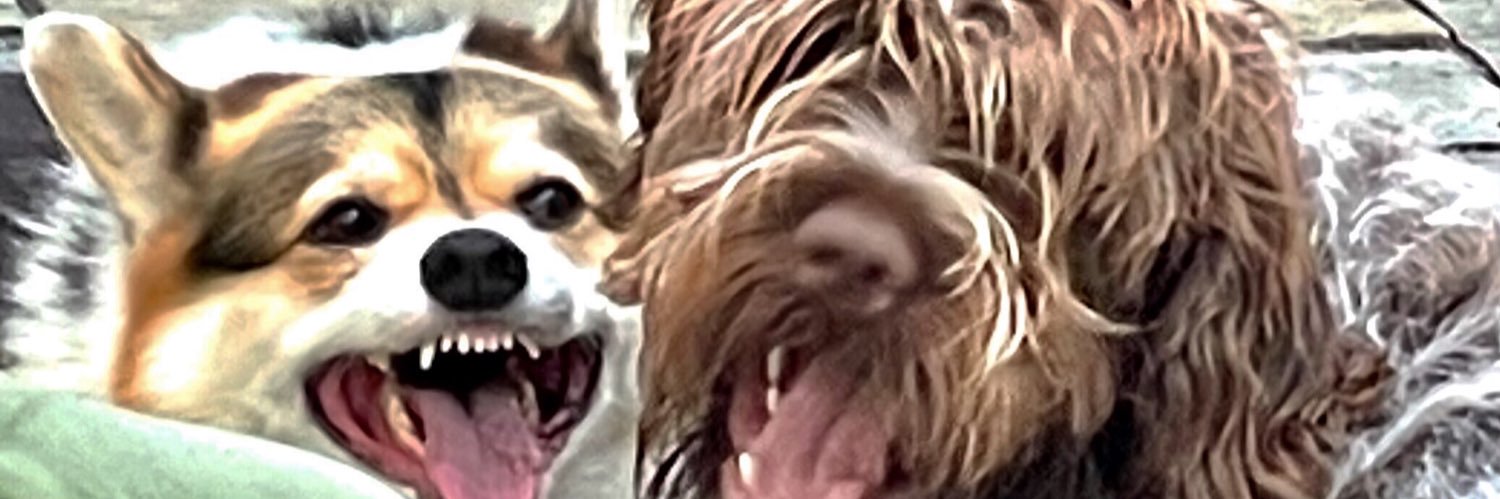 mcamk's profile banner image