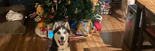 foxmike90 Profile Banner