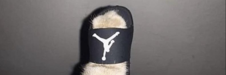 AndyOrzF's profile banner image