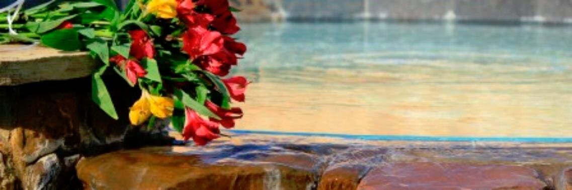 KWright_Frog's profile banner image