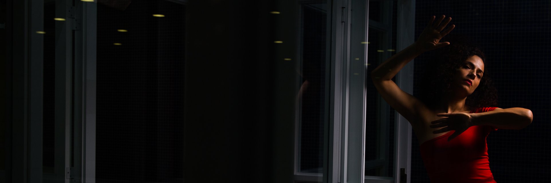Carolina Torres banner