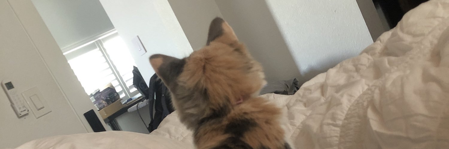 youngbella714's profile banner image