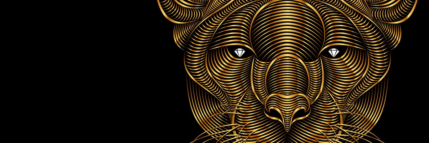 JuditChackal's profile banner image