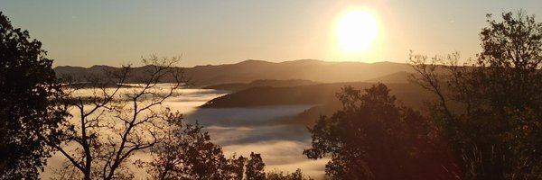 TherealKoun Profile Banner