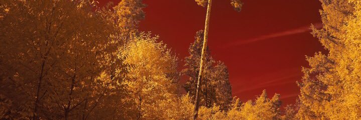 ULYANASto's profile banner image
