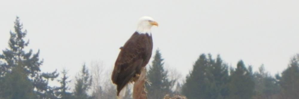kertjk's profile banner image