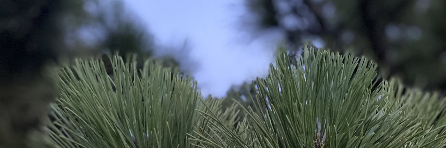 downstrum's profile banner image
