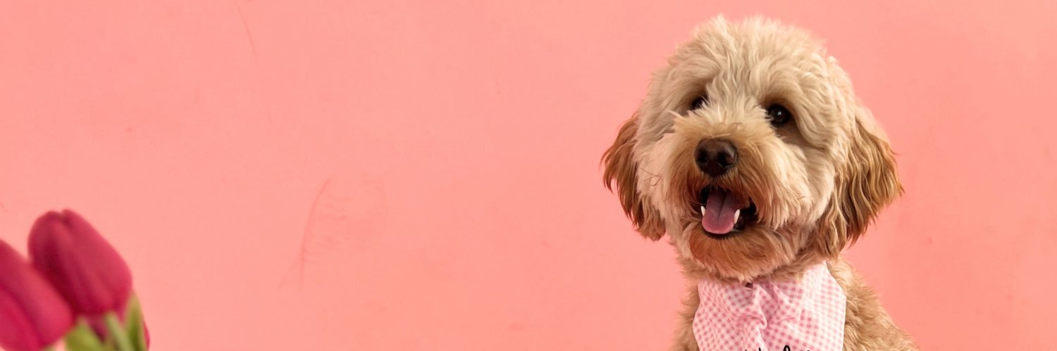 Michaela Baker Taylor banner