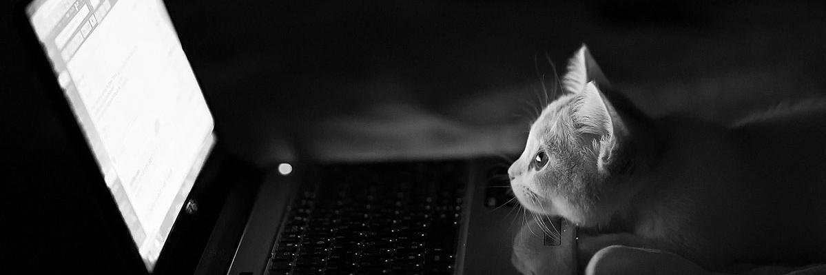 Ann_Marle's profile banner image