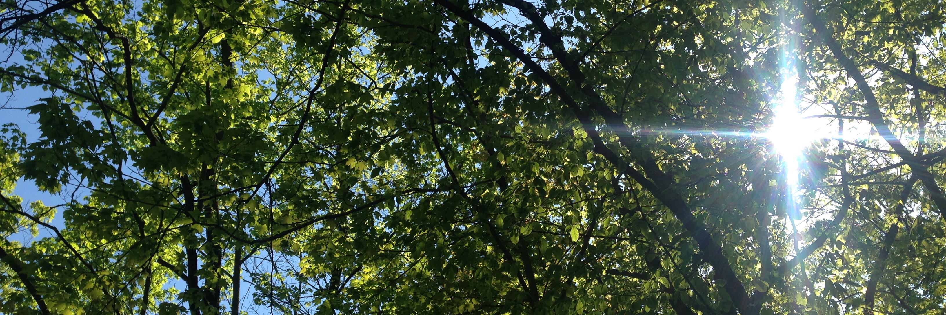 ckaplowitz's profile banner image