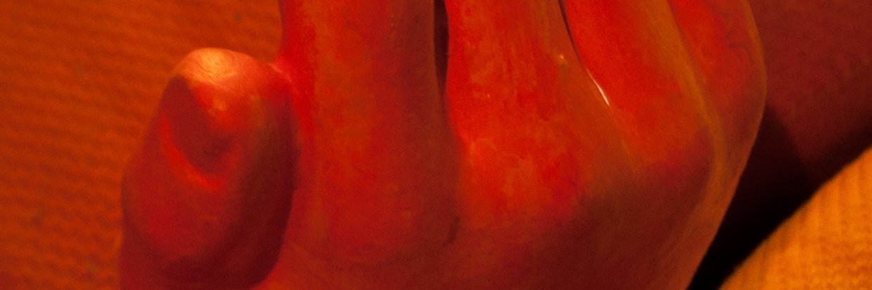 siameseband's profile banner image