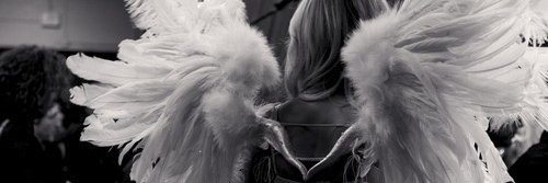 catiebradsh's profile banner image