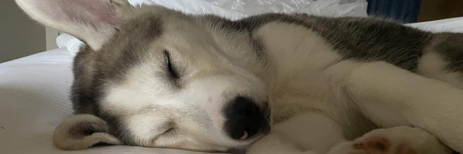 m4ddiieeee's profile banner image