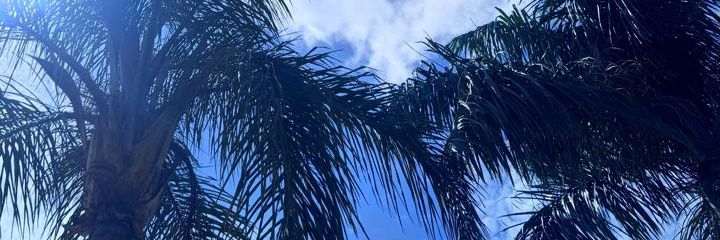 ruddy94p's profile banner image