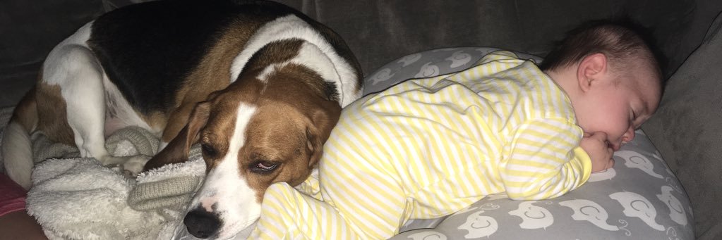 Gus_Op's profile banner image