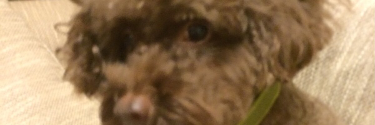 pskally's profile banner image
