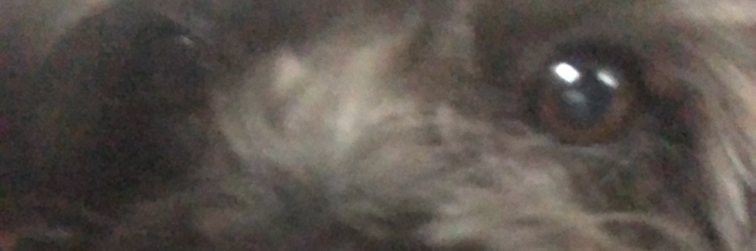 KmiRive's profile banner image