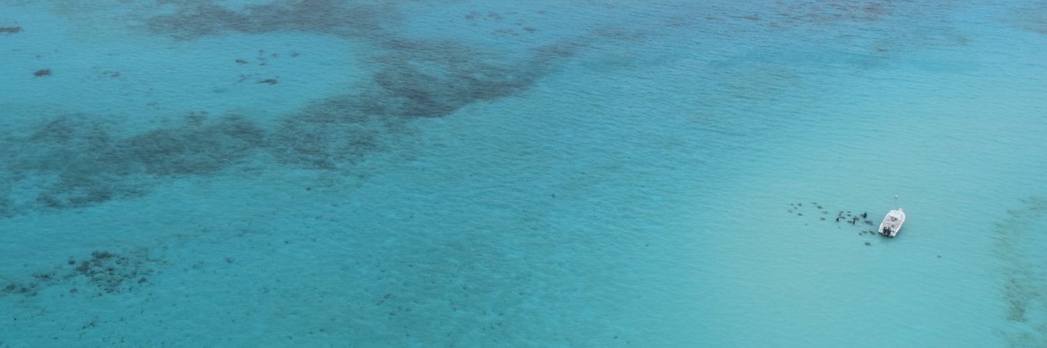 Reshma Ragoonath banner